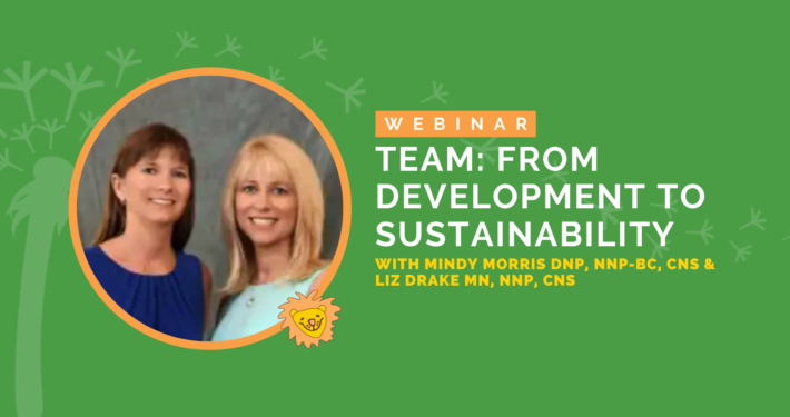 Team: From Development to Sustainability