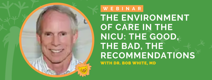 The Environment of Care in the NICU: The Good, The Bad, The Recommendations