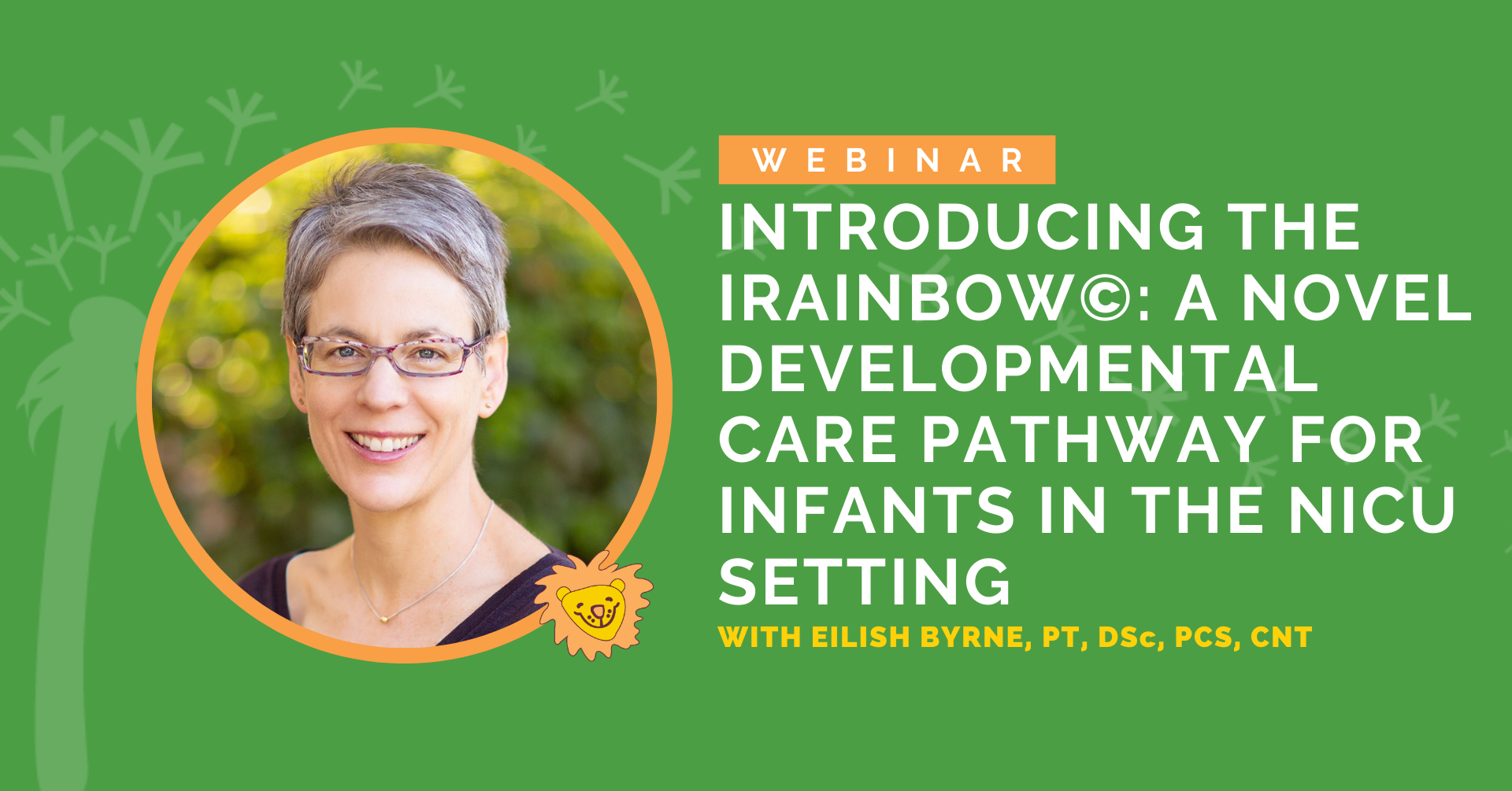 Introducing the iRainbow©: A Novel Developmental Care Pathway for Infants in the NICU Setting